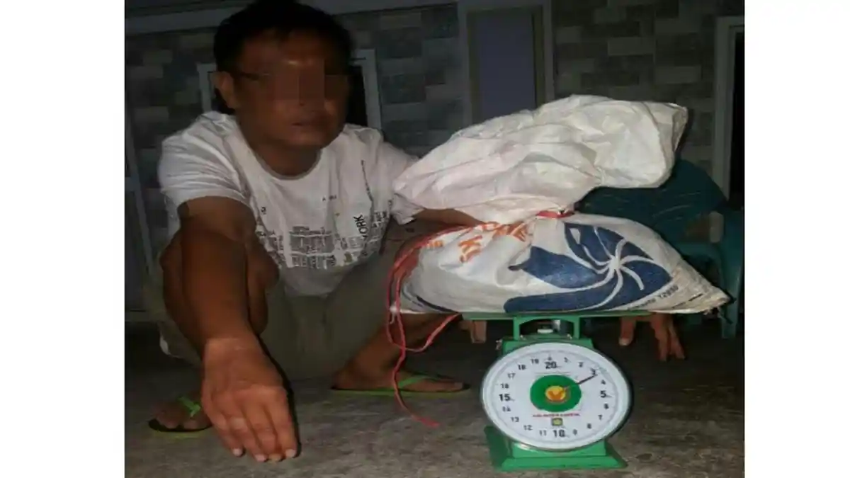 Simpan Sisik Trenggiling Warga Bengkalis Ini Diamankan Polisi