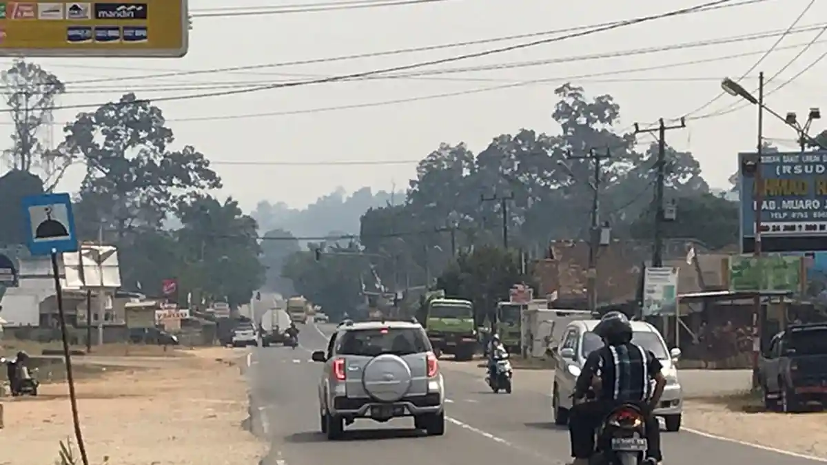 Kabut Asap Pekat Selimuti Muarojambi, Warga Sengeti Keluhkan Mulai Sesak Nafas
