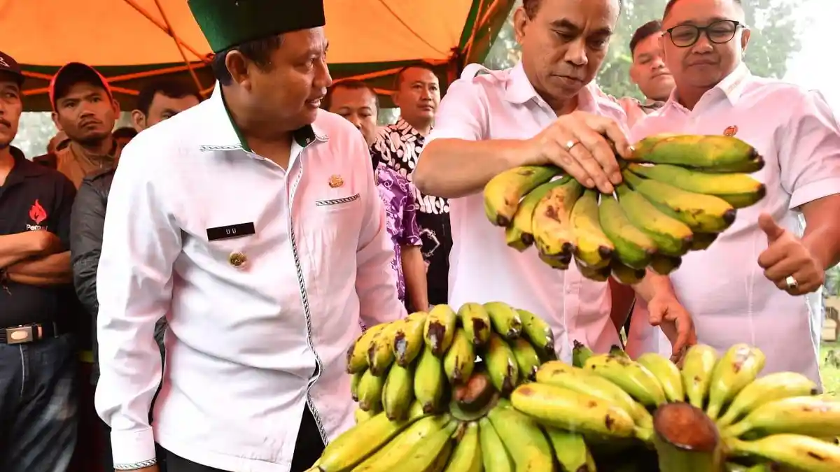 Wamendes: Menekan Migrasi Warga ke Kota Mewujudkan Keinginan Presiden Jokowi