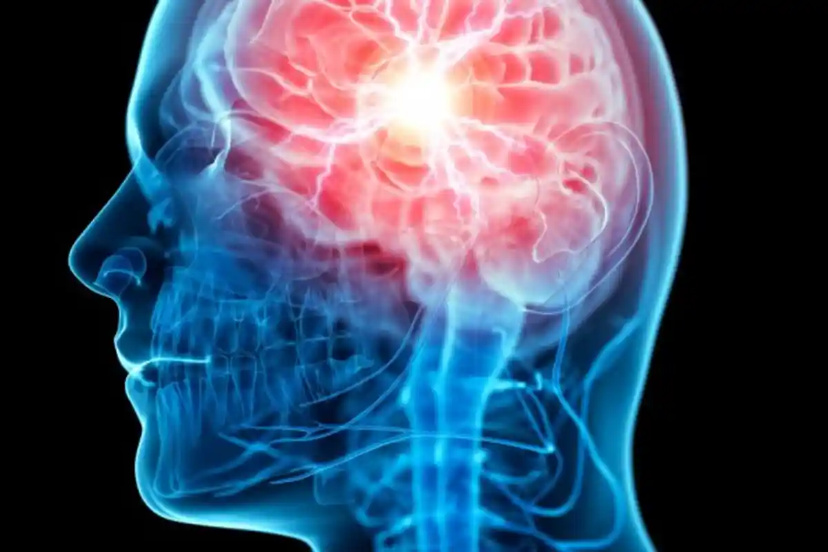 Cerdas dalam Berbahasa: Sempurna Perkembangan Akal Budinya, dan Punya Pemikiran yang Tajam