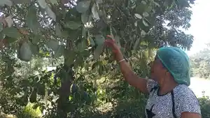 Irmina-Heldiana.jpg