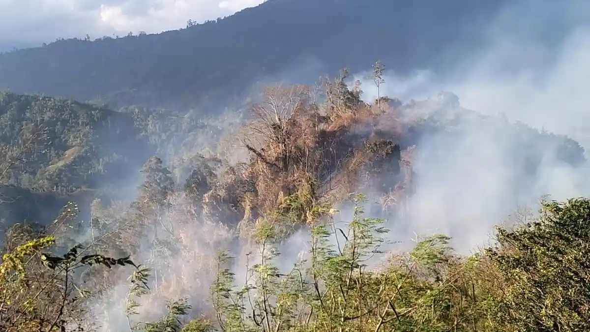 BREAKINGNEWS: Kebakaran Hutan di Ambason Mekar Parimo: Api Meluas Dekati Permukiman