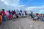 suasana-pelepasan-ratusan-tukik-di-pantai-kampung-bangko-manggarai-barat.jpg