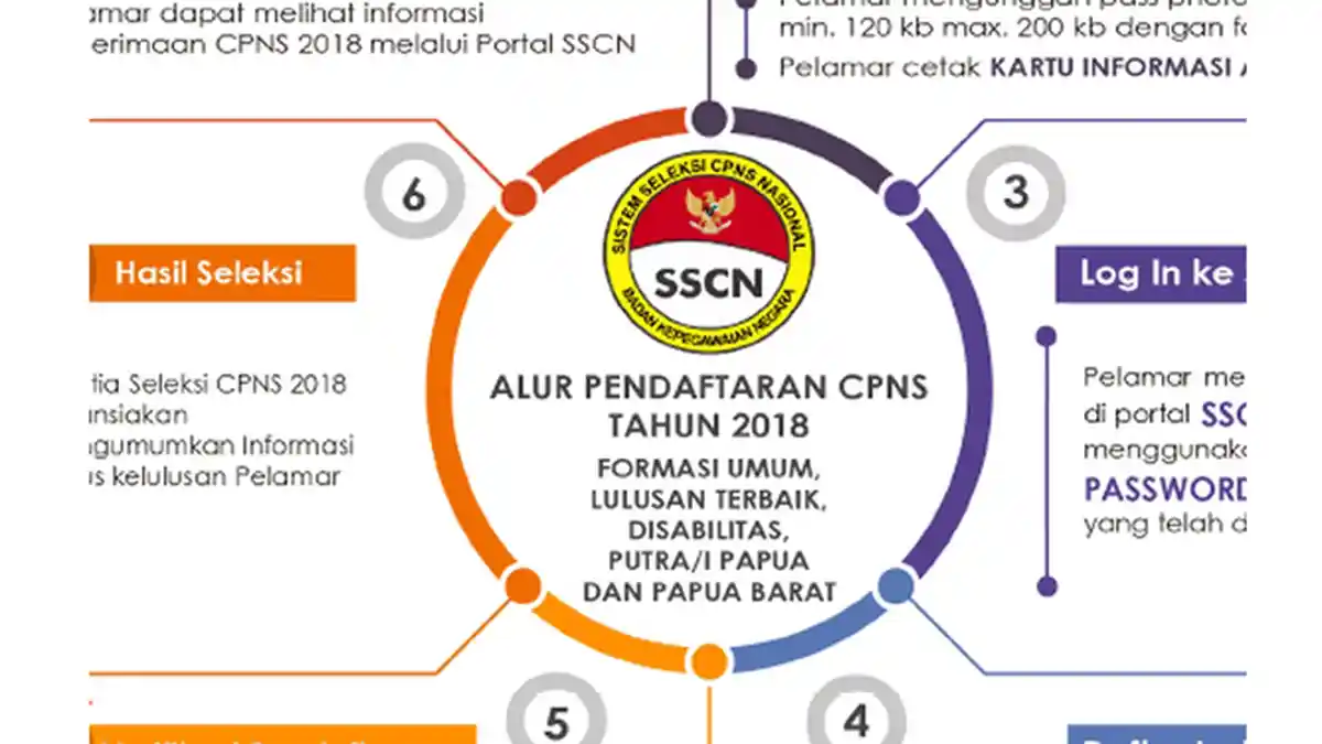 Pendaftaran CPNS 2019, Ini Total Kebutuhan dan Formasi Pertama yang Dibuka