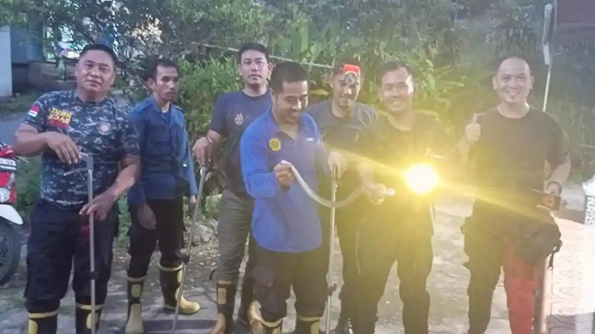 Damkar Sanggau Evakuasi Seekor Ular yang Masuk ke Area Rumah Warga
