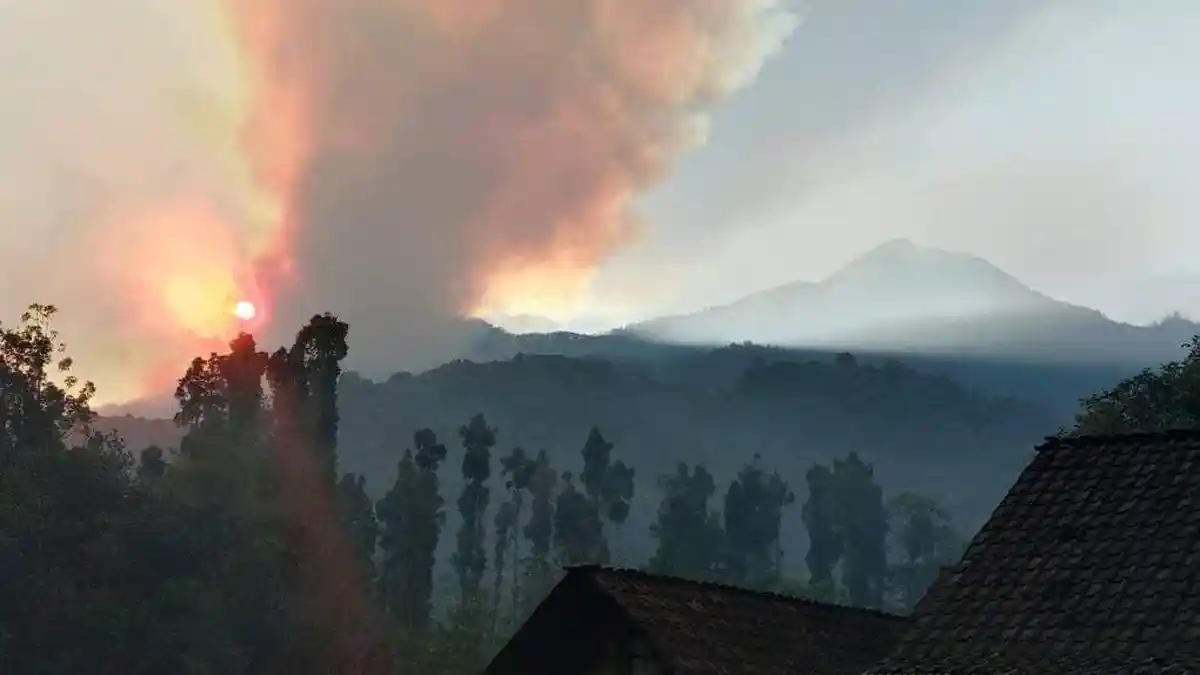 Kebakaran Hutan Gunung Argopuro, 11 Orang Diterjunkan Untuk Padamkan Api