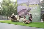 world-turtle-day-royal-safari-garden.jpg