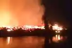 Belasan Hektare Limbah Eks Pabrik Plywood di Luwu Terbakar