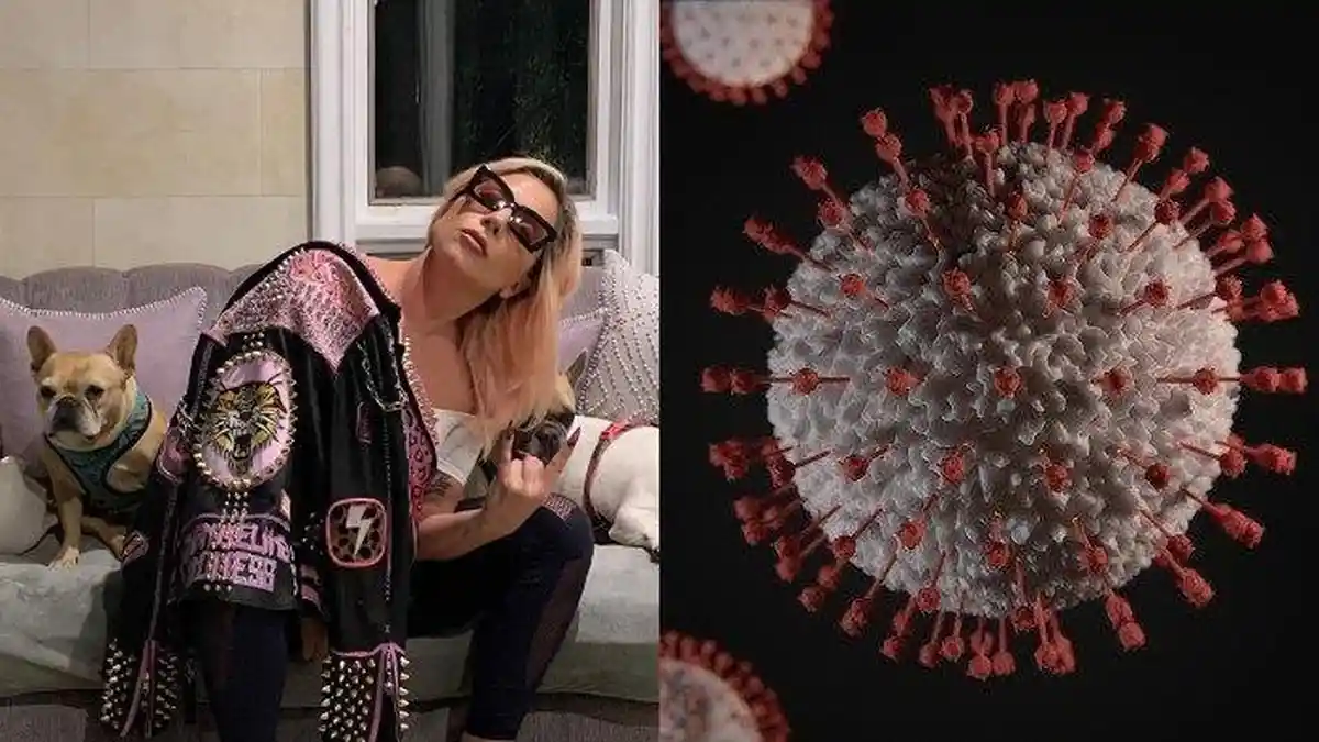 Corona Makin Gawat, Lady Gaga Isolasi Diri Bareng 3 Anjingnya: Semoga Dunia Baik-baik Saja!