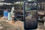Kreativitas Peternak Milenial Jombang Pasarkan Hewan Kurban via Live Medsos, Omzet Tembus Rp50 Juta
