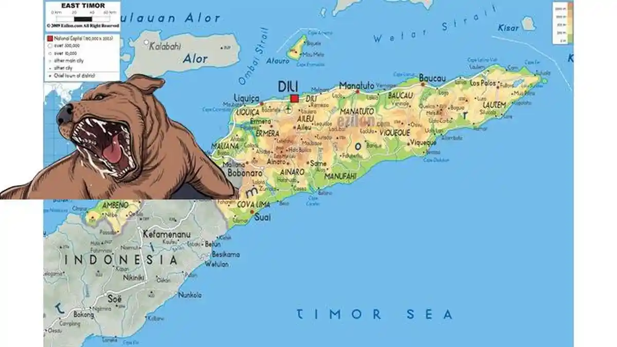Timor Leste Melaporkan Kasus Fatal Rabies pada Manusia di Oecusse