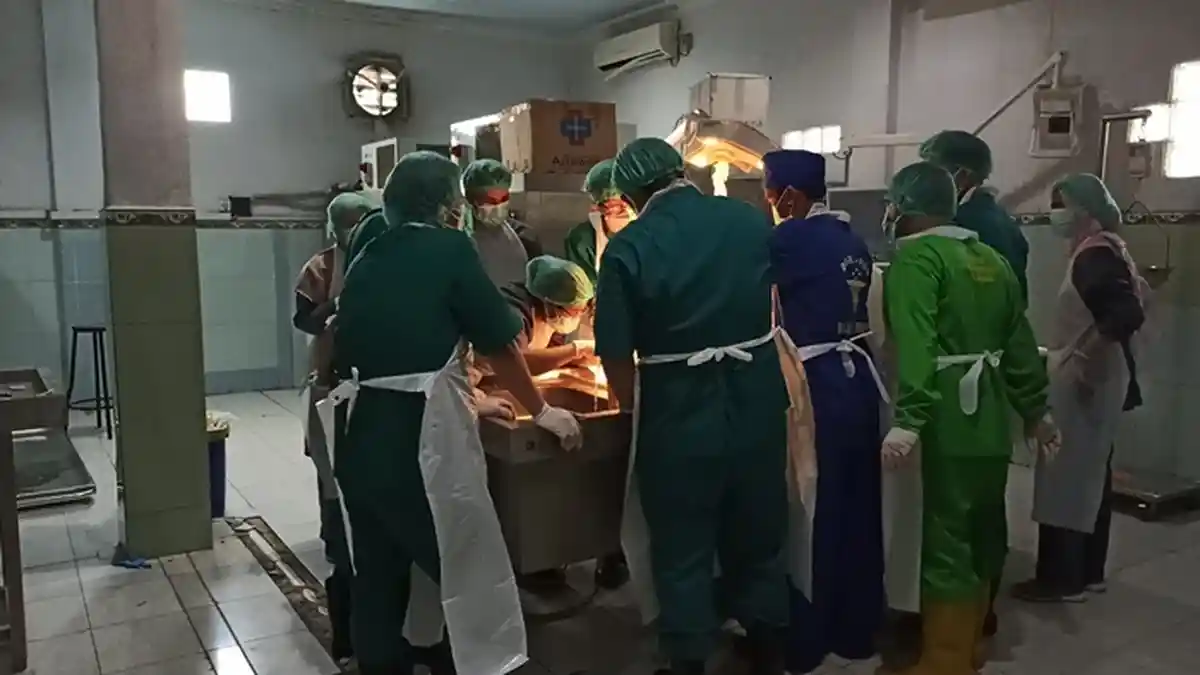 Dewi Asmara Racuni Mertuanya Terkuak dari Kucing & Ayam yang Mati, Korban Sempat Dikira Sakit Biasa