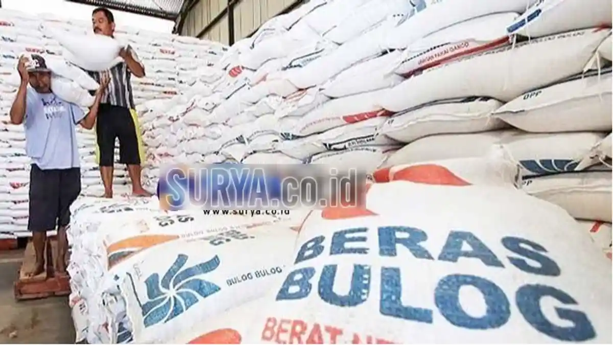 Tahun 2019, Serapan Bulog Subdivre IV Madiun Tak Capai Target, Ini Penyebabnya