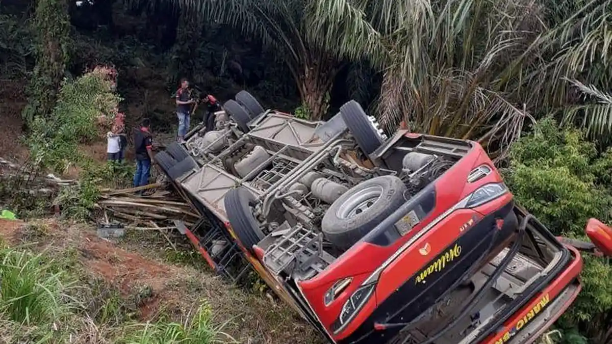 Lewati Jalan Curam dan Sempit, Bus Berisi 33 Anggota Brimob Polda Sumsel Terguling di Jambi