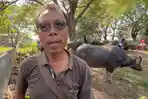 Pedagang-kerbau-di-Pasar-Hewan-Pragola-Pati-Masrum-saat-diwawancarai-Senin-2752024.jpg