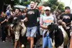 Tradisi Arak-arakan Hewan Kurban Di Malang