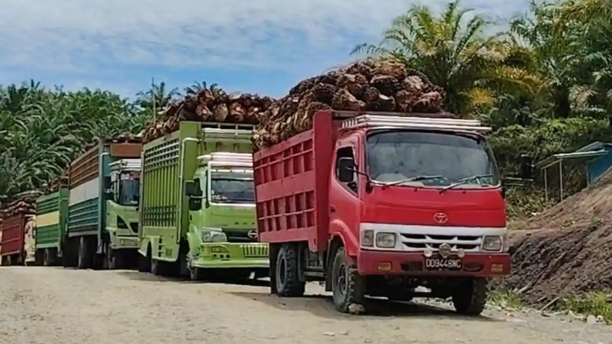 Ikut Imbauan Gubernur SDK, Sopir Truk di Mateng Akan Segera Mutasi Plat DD ke Plat DC