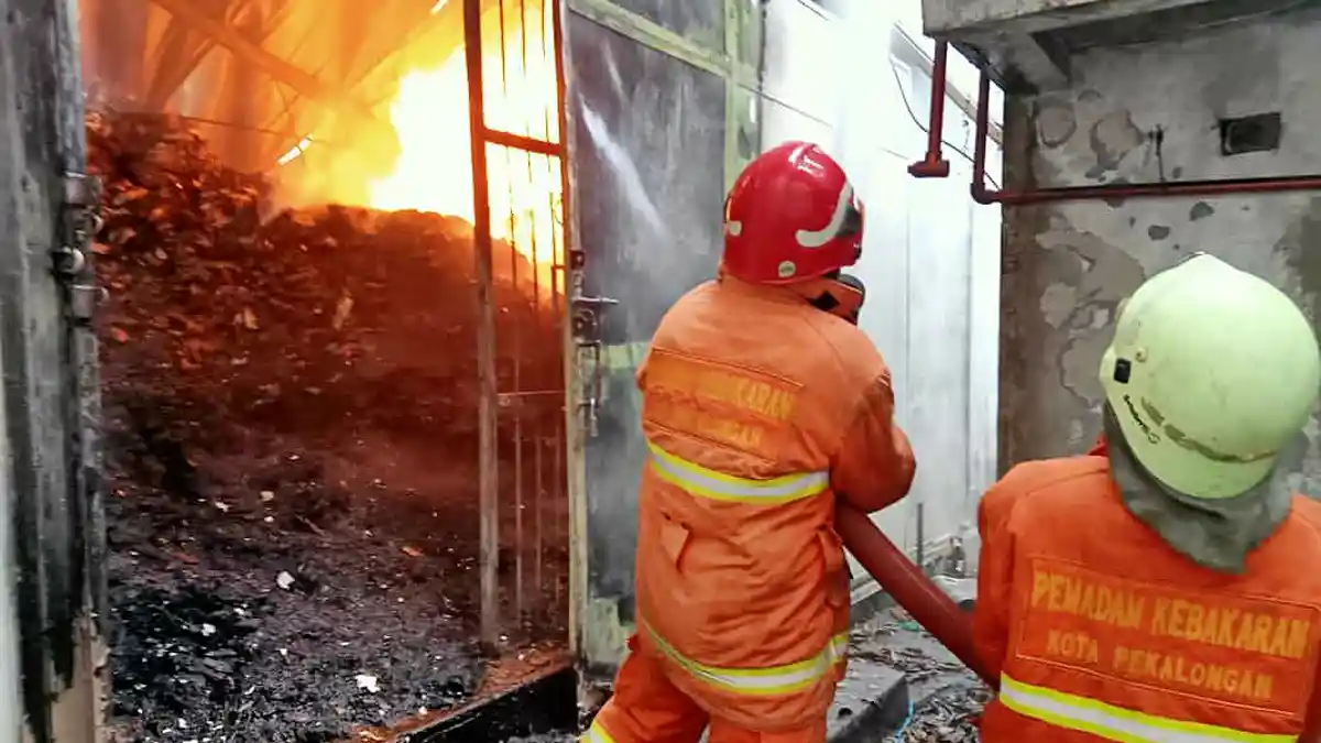 BREAKING NEWS: Pabrik Teh Dandang  Kabupaten Batang Terbakar Dilalap Api