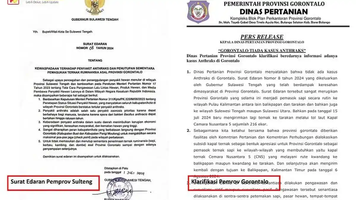 Pemprov Gorontalo Respon Sudat Edaran Gubernur Sulteng: Wilayah Kami Bebas Anthraks
