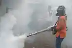 petugas-dinkes-kabupaten-mamuju-lakukan-fogging-di-desa-pokkang.jpg