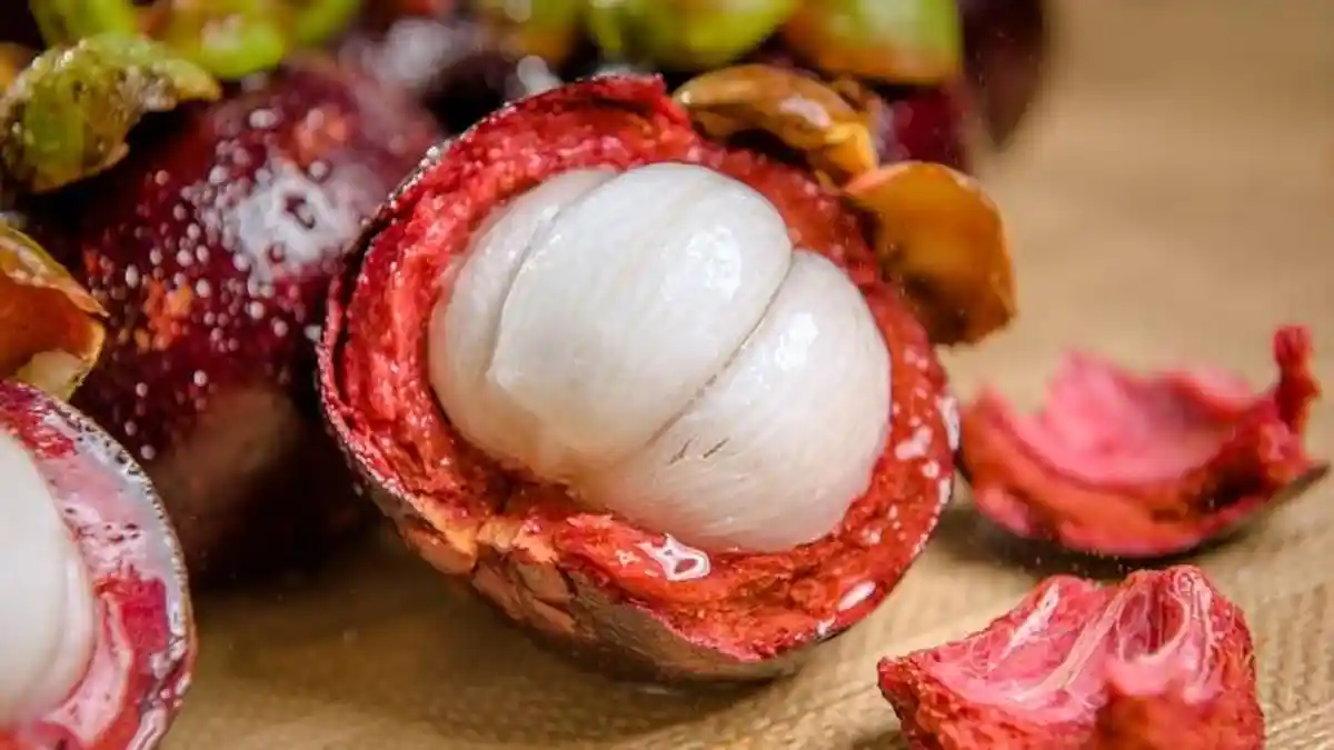 7 Arti Mimpi Buah Manggis, Pertanda Kurang Baik Jika Makan Manggis Bersama Pacar, Ini Tafsirannya