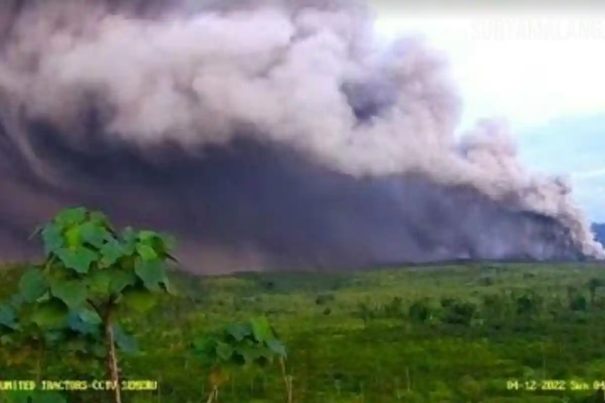 Gunung Api Semeru Erupsi Lagi, Awan Panas Menyembur ke Arah Timur Laut