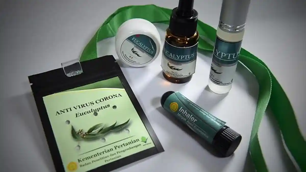 POPULER Manfaat Eucalyptus, Bahan Dasar Kalung Anticorona yang Disebut Sebagai Antivirus Covid-19