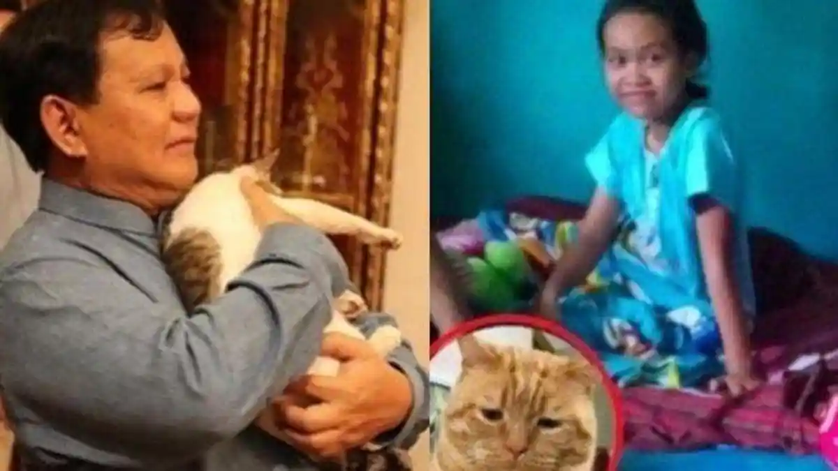 Ingat Nabila yang Kakinya Remuk Tertabrak Truk saat Selamatkan Kucing? Kisahnya Sentuh Hati Prabowo