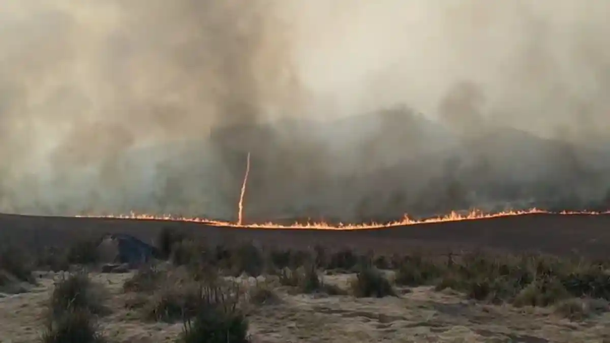 Api di Bromo Belum Padam Hingga Hari ke-5, Kebakaran Meluas Hingga Kawasan Malang dan Pasuruan