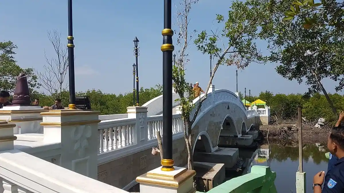 Jembatan Manggrove Forest Park Kota Langsa Diresmikan, Bergaya Arsitektur Belanda 