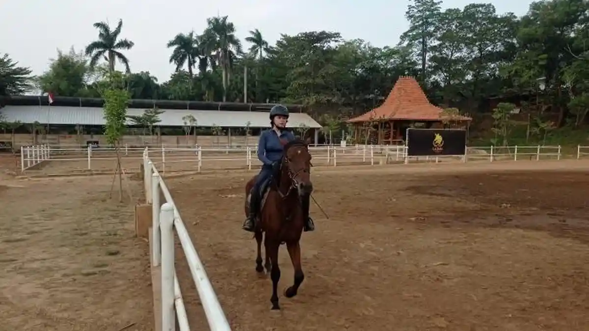 Video Tempat Wisata Palembang : Lazara Stable Tempat Seru Berkuda, Makan Enak, dan Nongkrong Asyik