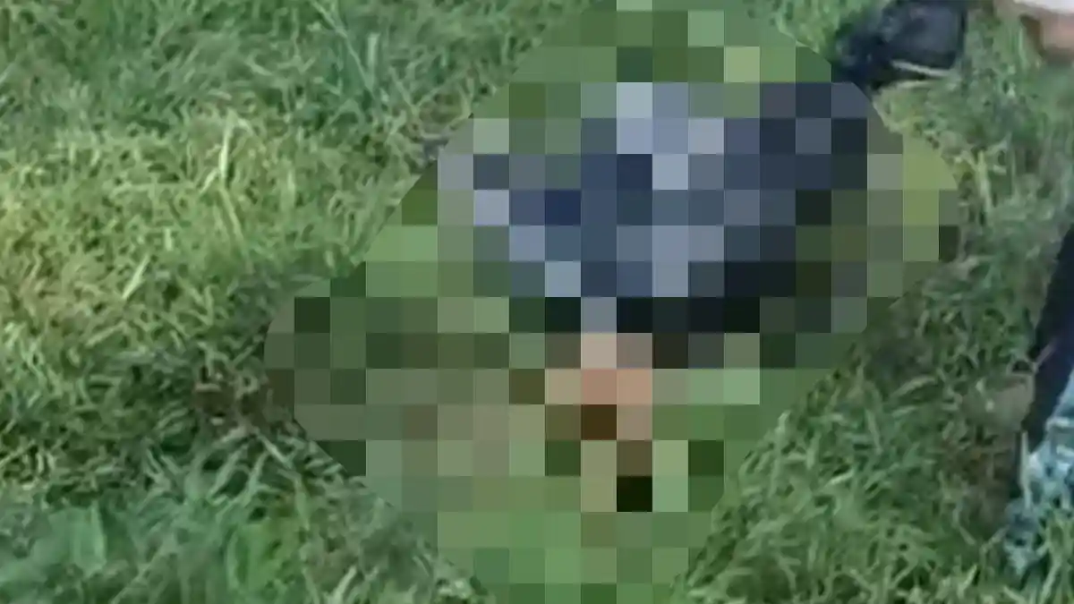 Kronologi Bocah 9 Tahun Tewas Saat Memancing, Diduga Diserang Anjing Pemburu