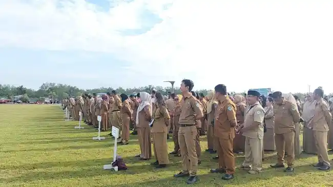 Tribun