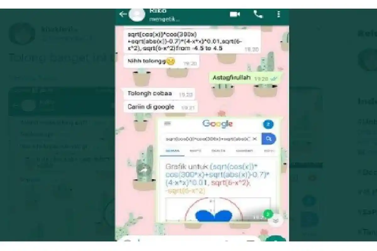 Rumus Matematika Ini Kalau Dicek di Google Ternyata Ungkapan Cinta, Cewek Ini Sampai Baper
