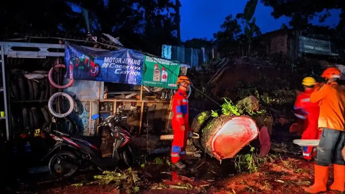 Pohon Mahoni Tumbang di Depan SPBU Gadog Bogor, Warga Mengendus Ada Hal Tak Beres