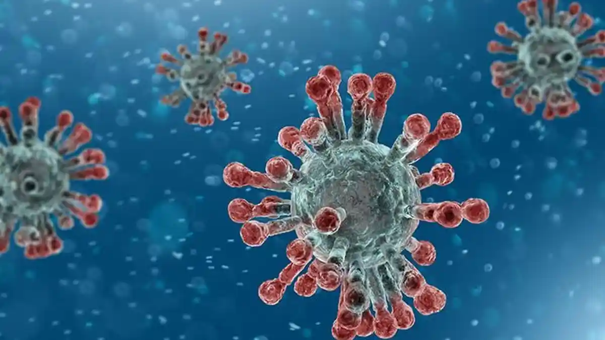 WASPADA, Ini Alasan Orang Terinfeksi Covid-19 Tanpa Gejala Bisa Menularkan Virus Corona pada Lainnya