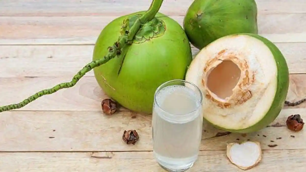 Tak Cuma Air Putih, Ini 6 Minuman Pre-Workout agar Olahraga Tetap Optimal