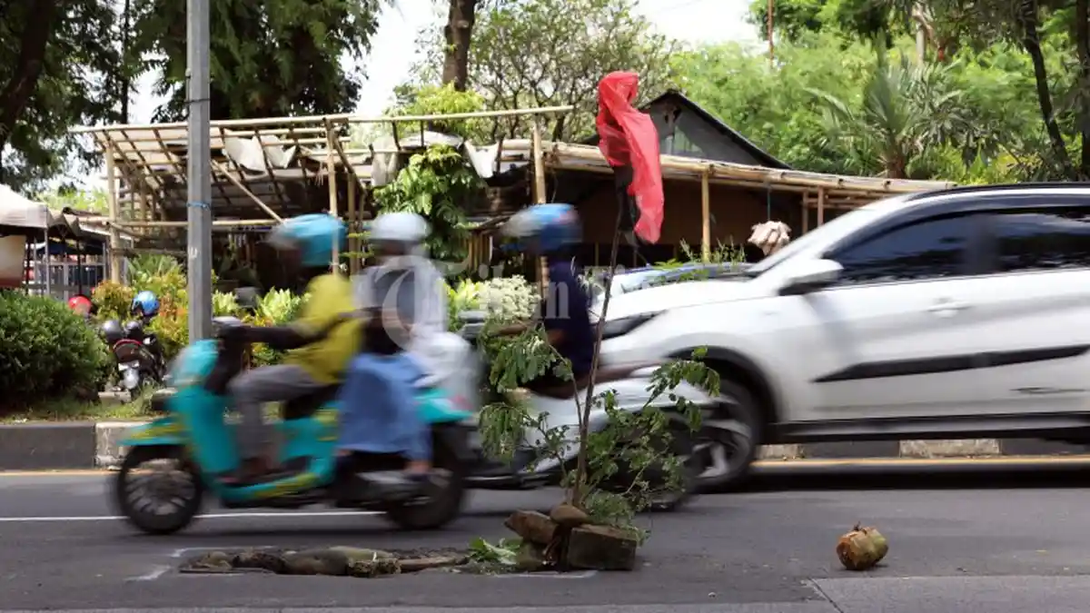 Protes, Warga Tanam Pohon di Tengah Jalan Urip Sumoharjo Makassar - tanamanjalan2.jpg