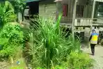 DPRD Desak Balai Sungai Segera Tangani Abrasi Usai Tinjau Rumah Warga Terancam Roboh