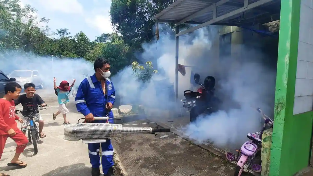 Awal Tahun 2025, Demam Berdarah Dengue di Kaltim Turun Drastis