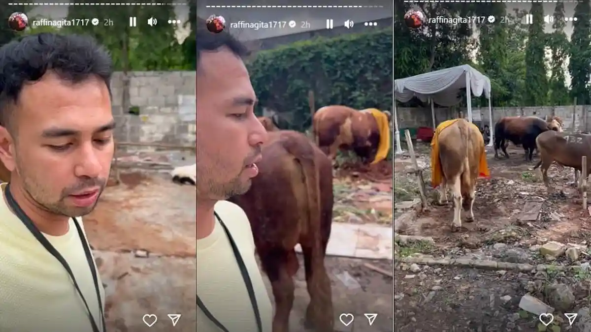 Raffi Ahmad Kurban Lebih Dari 10 Ekor Sapi Bobot 1 Ton - Tribunbatam.id