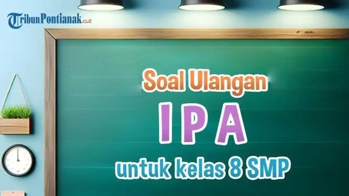 JAWABAN Soal IPA Kelas 8 Kurikulum Merdeka Hadapi UTS Semester 1, Bagaimana Energi Rantai Makanan?