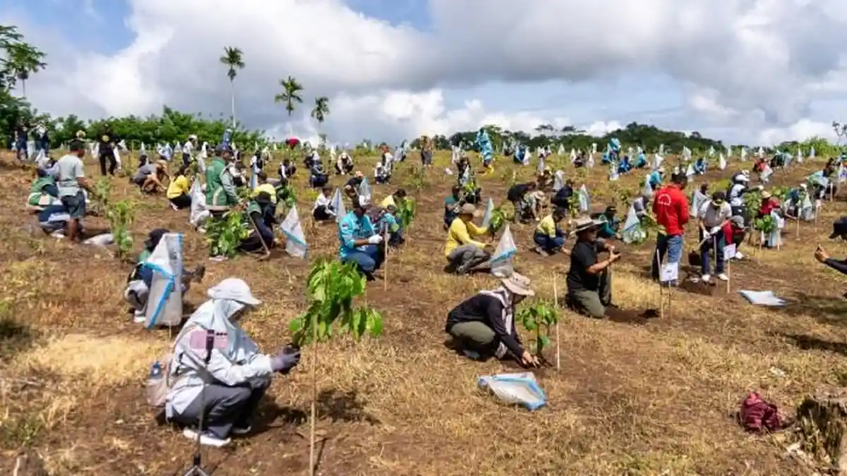 Peringati HMPI 2025, AMMAN Tanam 50 Ribu Bibit Pohon di Sumbawa
