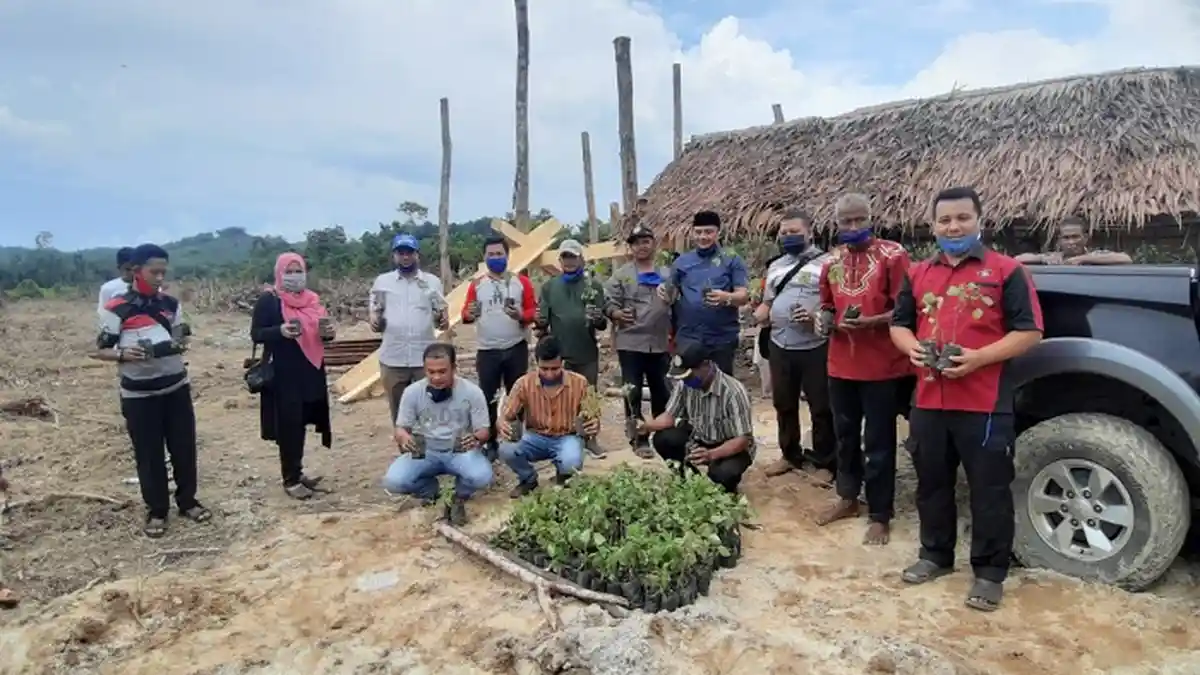 Petani Aceh Jaya Kembangkan Nilam, Anggota DPRA Ini Dorong Warga Manfaatkan Lahan Tidur