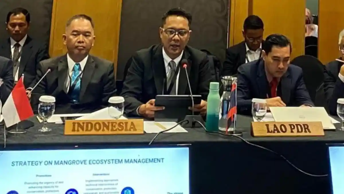 Indonesia Pimpin Inisiatif Global Pengelolaan Ekosistem Mangrove ASEAN ...
