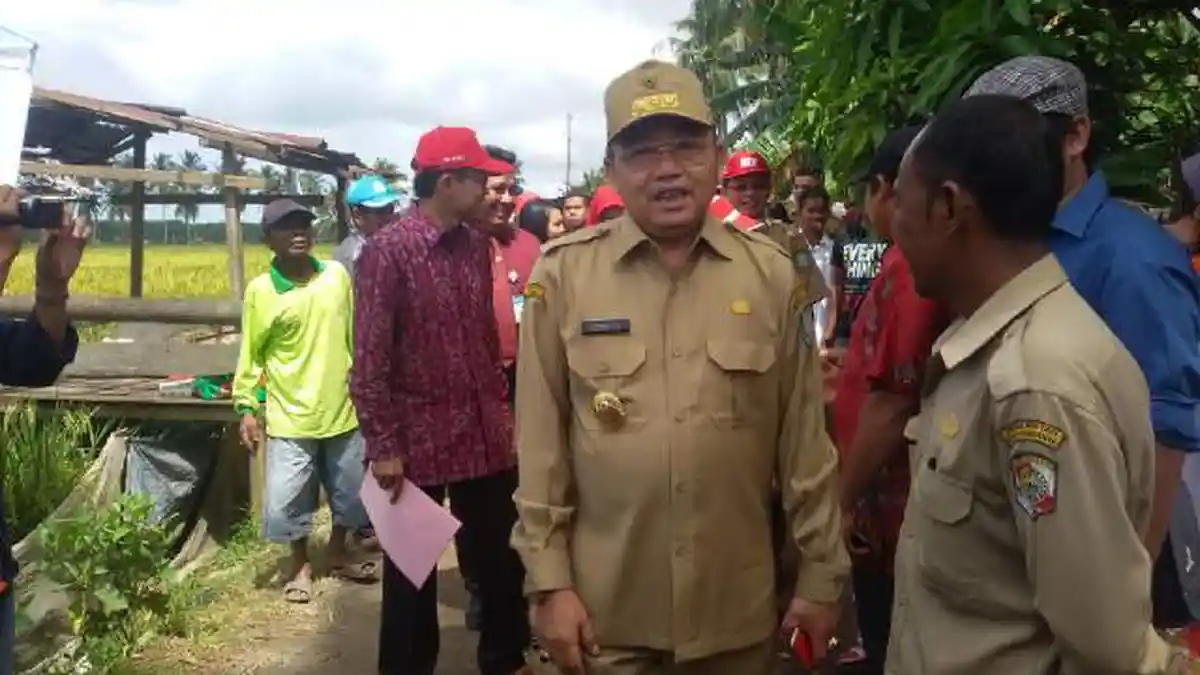Gubernur Kalbar Hadiri Panen Raya Padi Hazton di Peniraman
