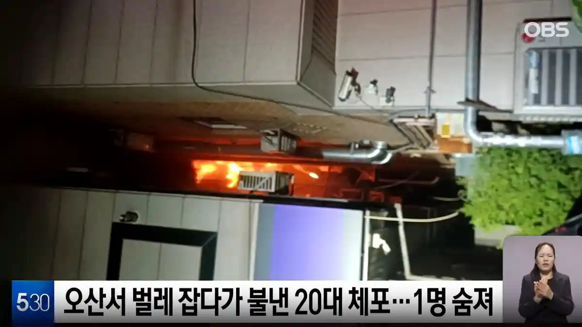 Ibu di Korea Meninggal setelah Selamatkan Bayinya dari Kebakaran, Tetangga Usir Kecoak dengan Api