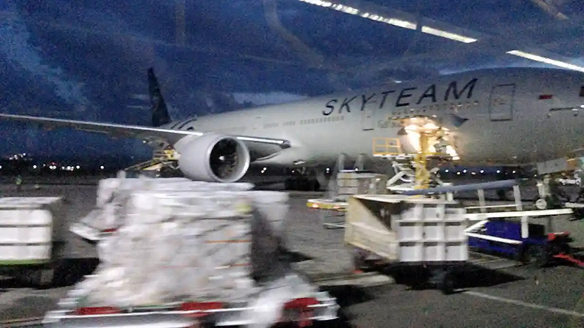 Pertama Kalinya, Ribuan Barang Penumpang ANA Tertinggal di Bandara Haneda Jepang