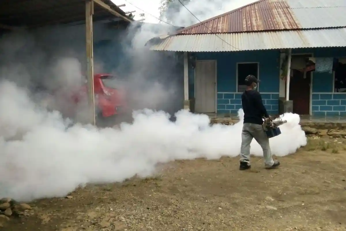 Sudah 8 Warga DBD, Dinkes Luwu Timur Lakukan Ini