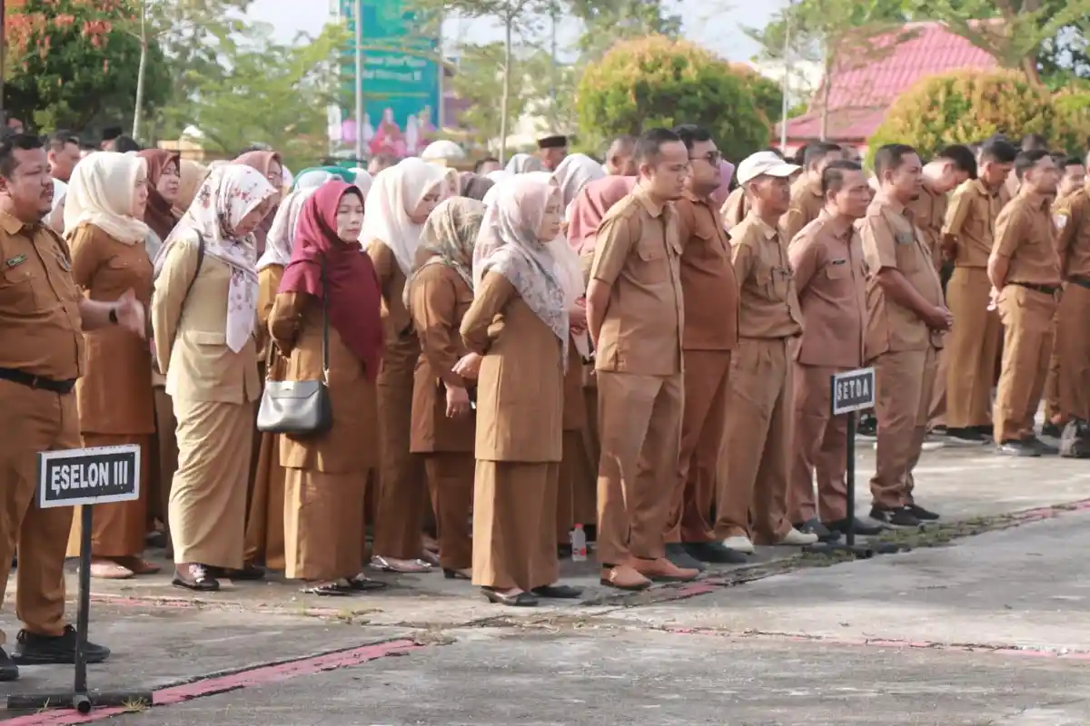 Sehari Jelang Penutupan, 1.382 Pelamar Telah Daftar CPNS Pelalawan Riau 2024 